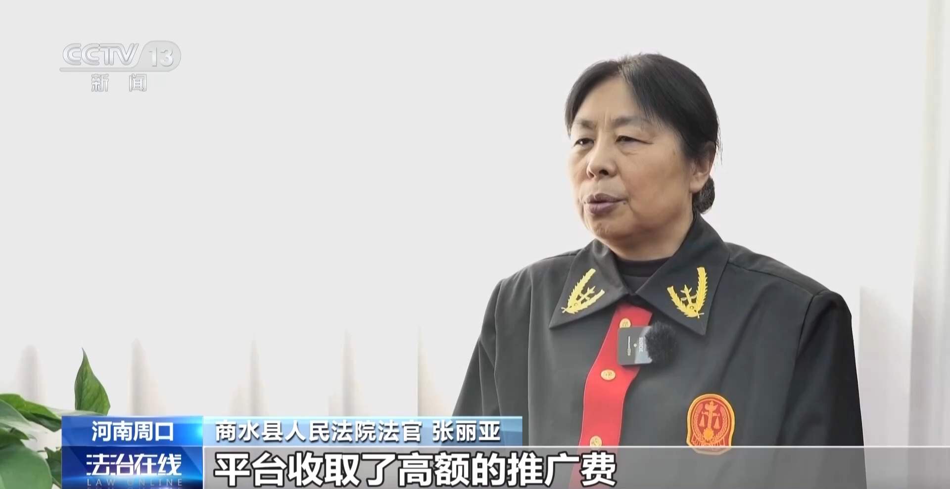 骗250万善款仅3000元用在狗身上 起底流浪动物网络救助骗局
