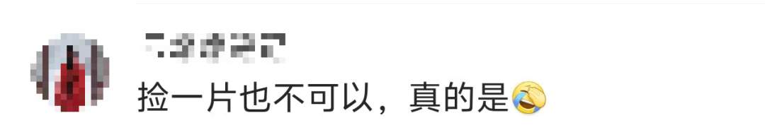 景区禁止游客捡枫叶,网友质疑“太小气”,最新回应