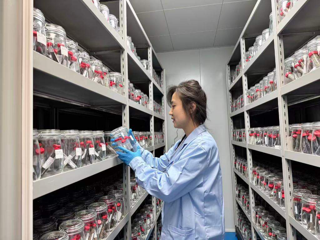 青藏高原生物种质资源库开放数据共享