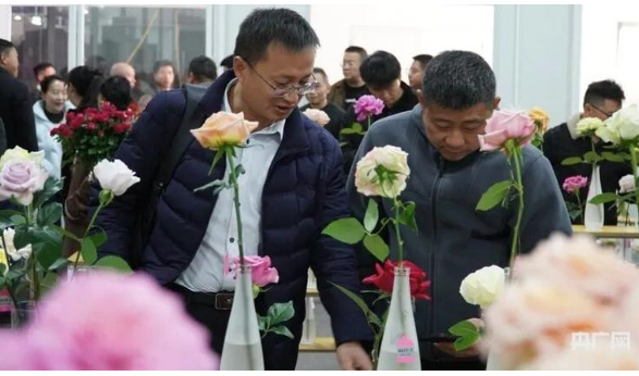 “这朵花，就叫‘娇龙’吧！”