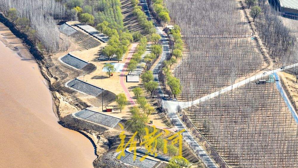大地回春，黄河生态廊道生机勃勃