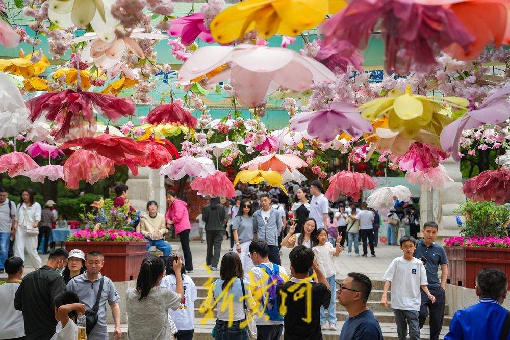 一年四季 泉在济南｜五一假期千佛山人气爆棚 文创市集演绎泉城新活力