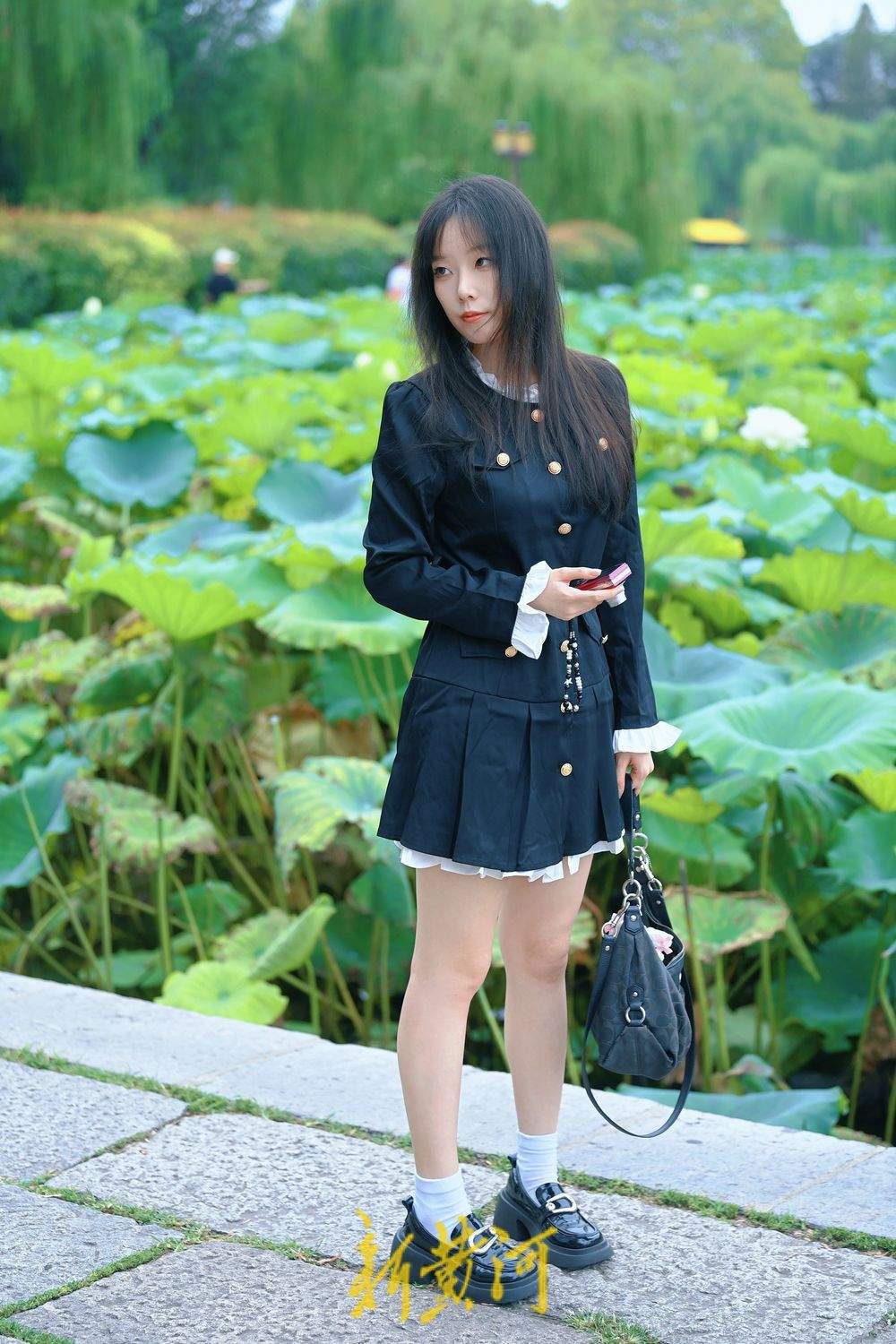 一年四季 泉在济南丨初秋明湖雨荷打卡 泉城美景入画来