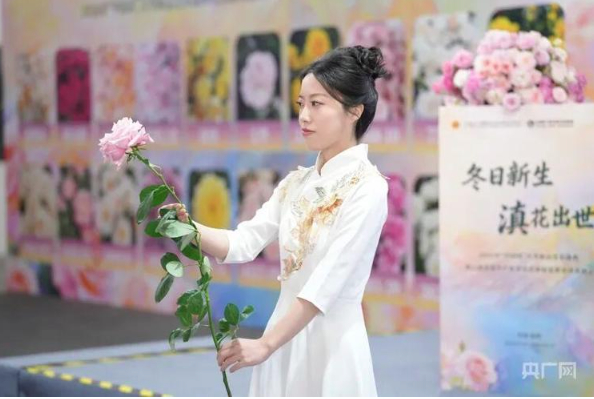 “这朵花，就叫‘娇龙’吧！”