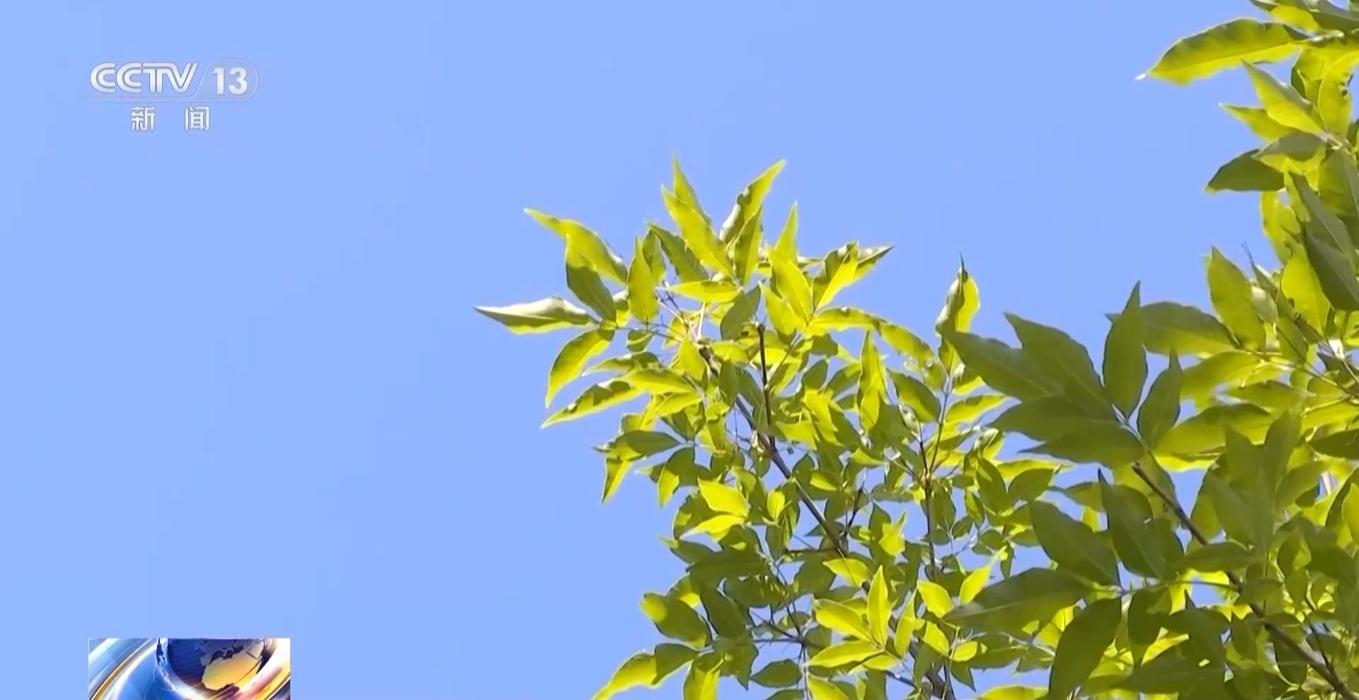 “吸毒记录等将被封存”引热议 专家：记录封存≠风险隐身