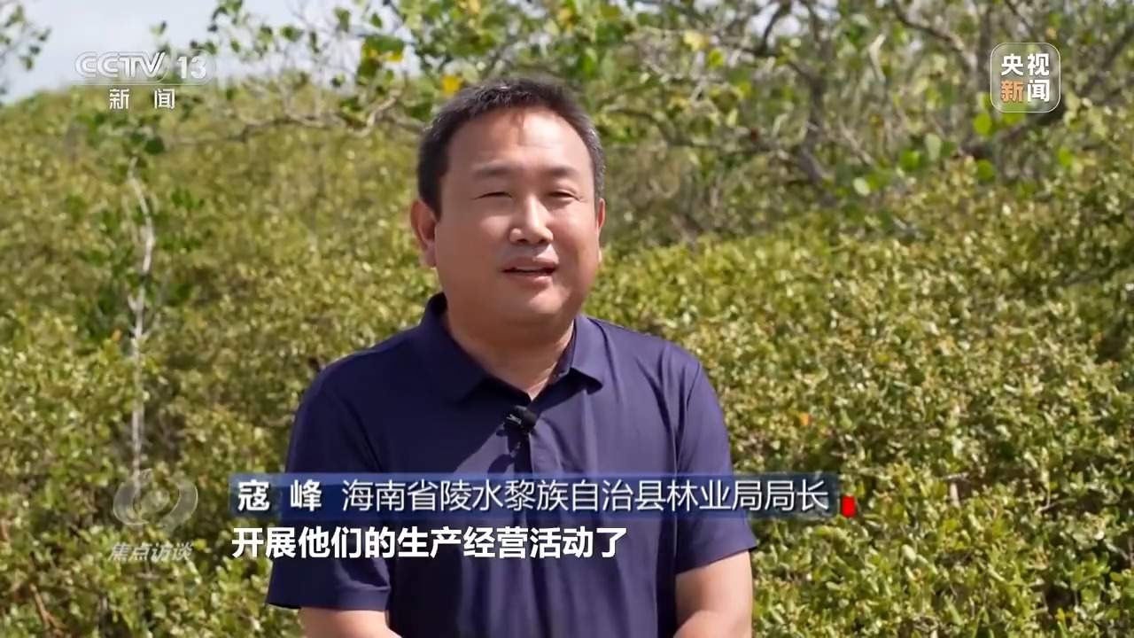 焦点访谈丨保护海洋生态 守好人海和谐的蓝色家园