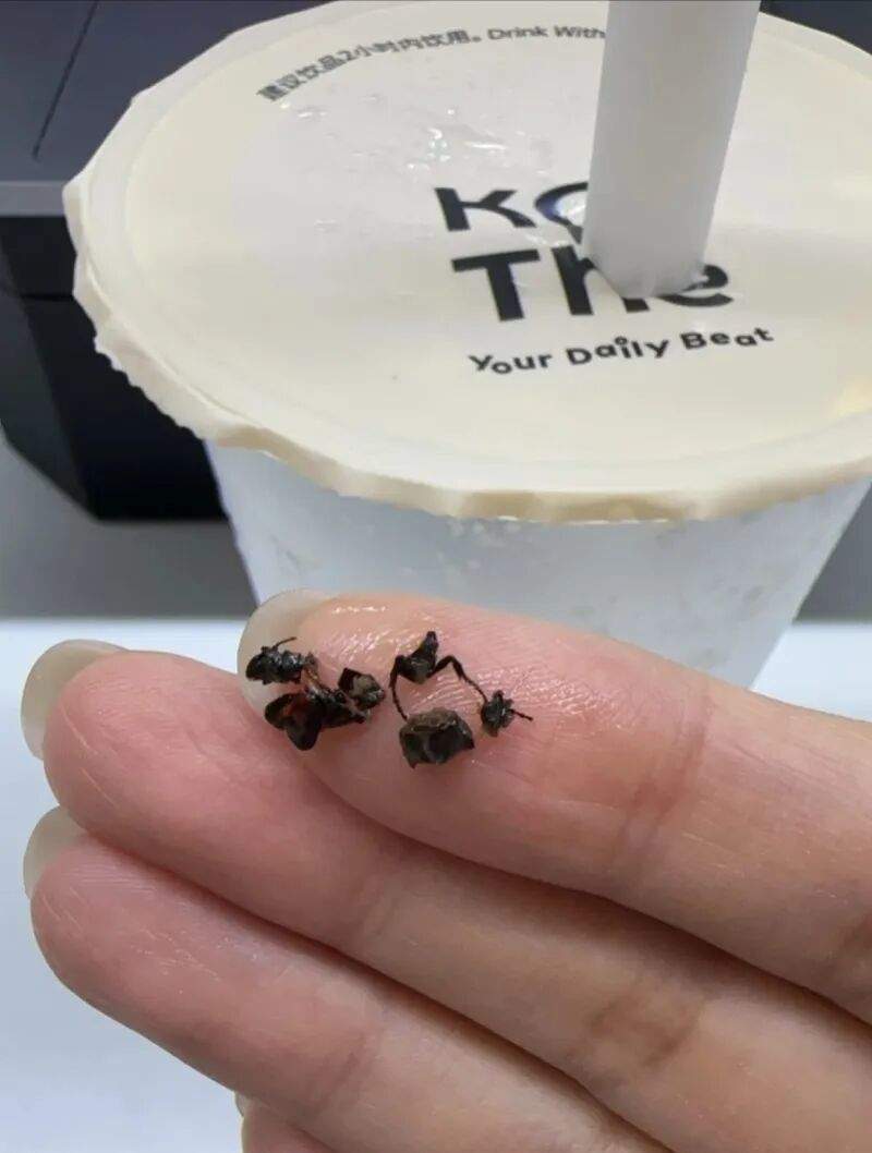 被投诉“奶茶喝出昆虫尸体”,知名茶饮回应