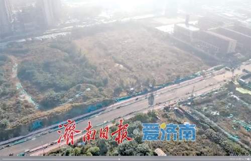 精彩图集丨历下区