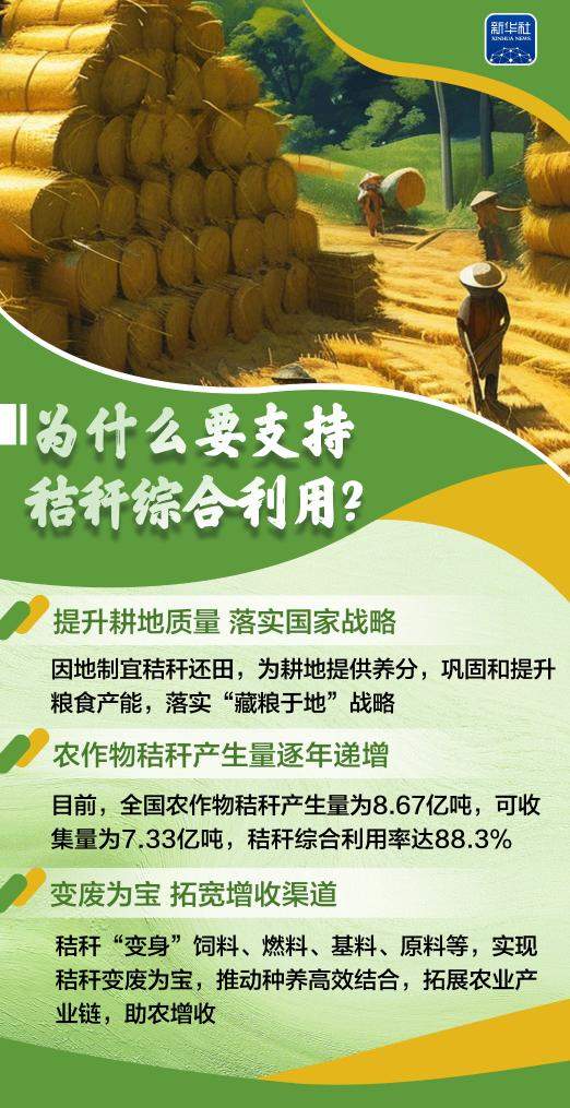 变饲料、转能源、种菌菇……秸秆原来这么“能”！