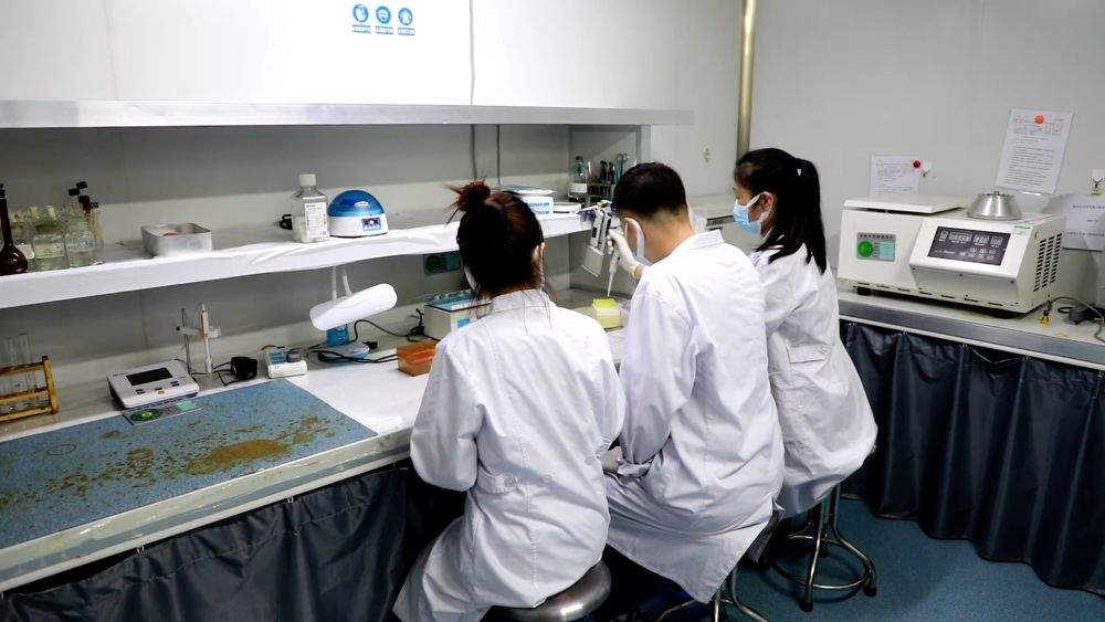 新华视点｜科创“新”力量：新发展理念引领下的中国智造