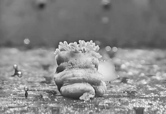 年轻人的新流行：去超市生鲜区“赶海”