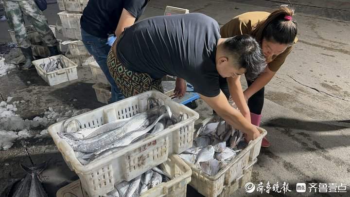 声声呼唤中，济南“海老板”们等到众“鲜”归来