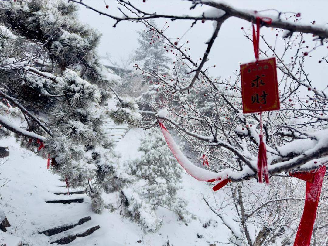 应战暴雪寒潮！泰山积雪深度近20厘米，景区正组织清雪除冰