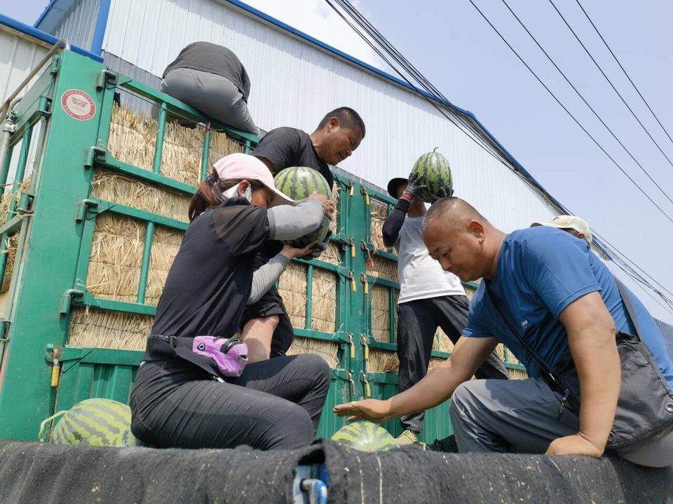 西瓜价格一周“拦腰斩”，供求关系失衡或为主因