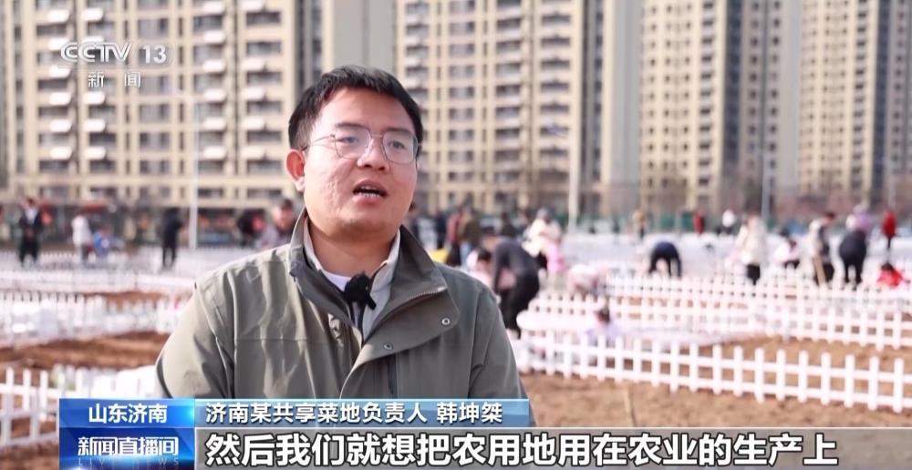 央视：济南“共享菜地”走红 三种模式让市民体验农耕乐