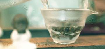 活力中国调研行｜见茶不见花，看福州茉莉花茶如何香飘千载