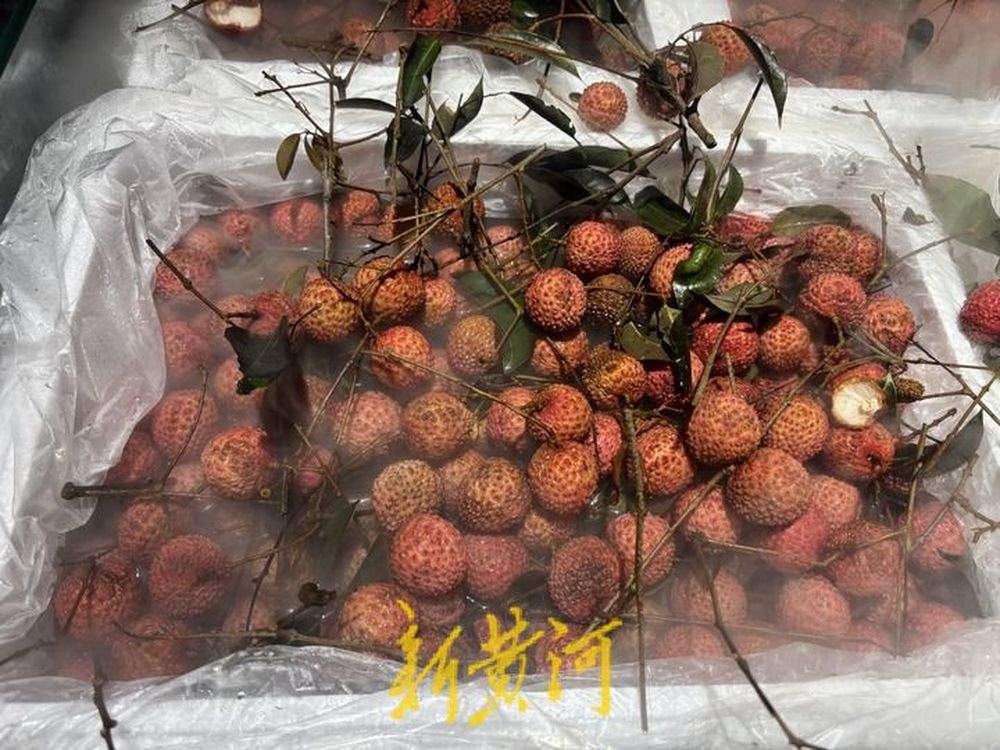 济南各大商超荔枝热销，预计价格还会继续降