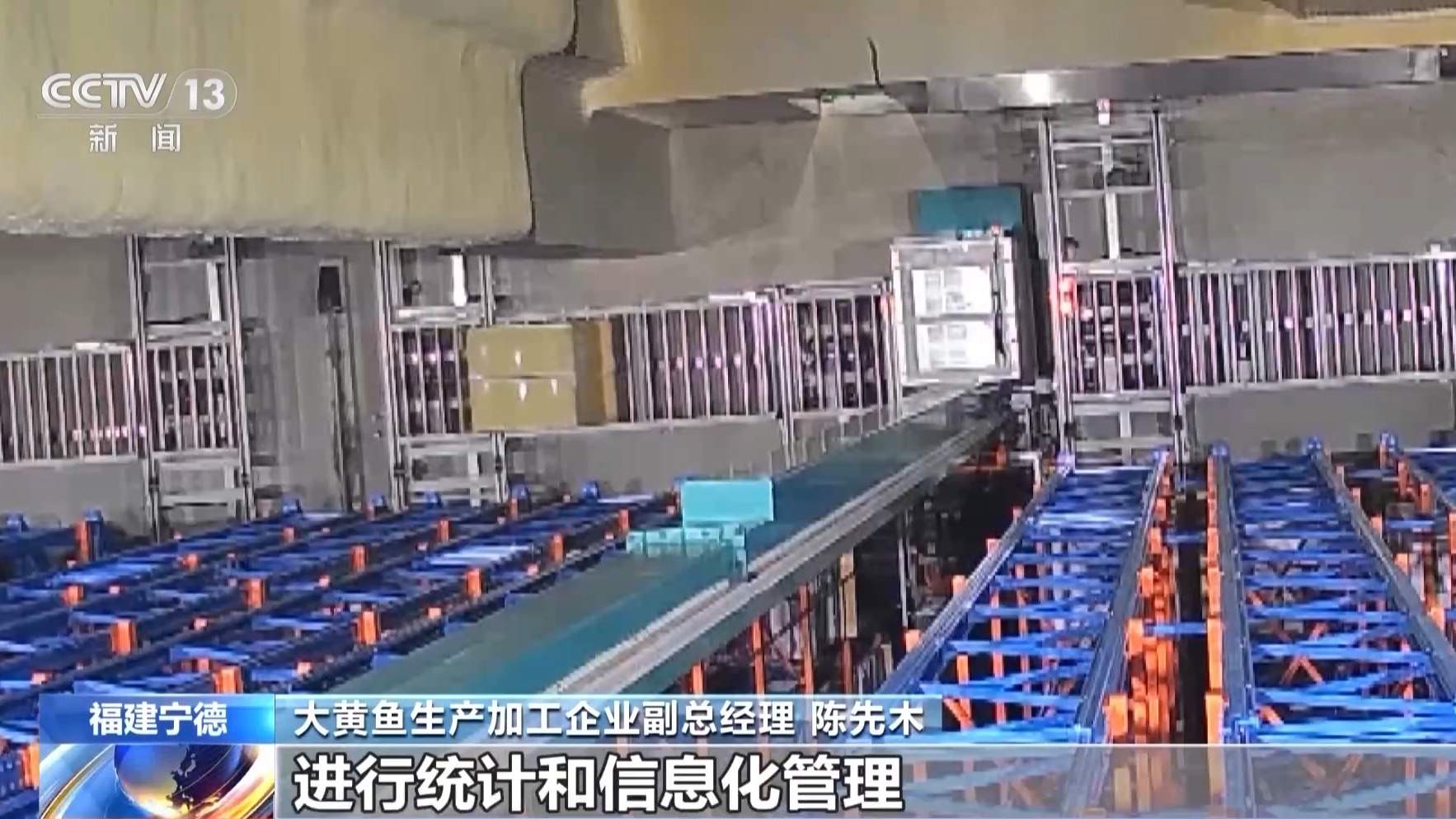 在这座海上牧场,大黄鱼住上“健身房”