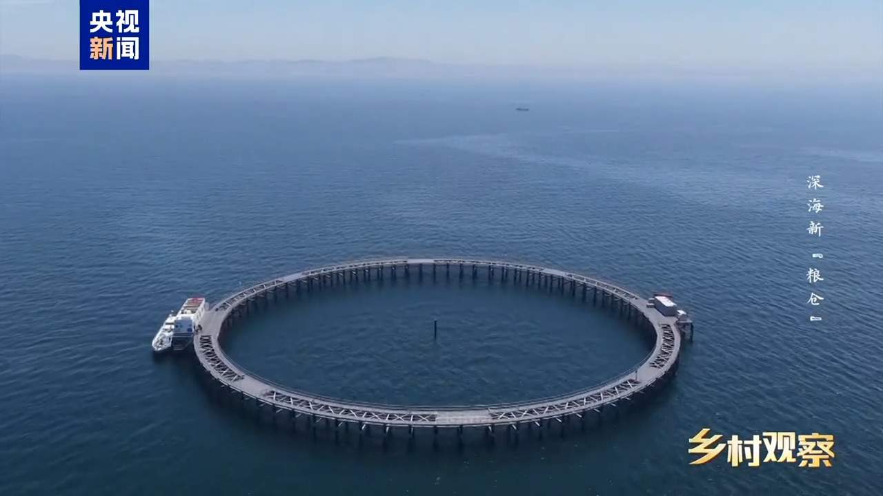 海上“全屋智能”！探访全球首艘三文鱼养殖工船