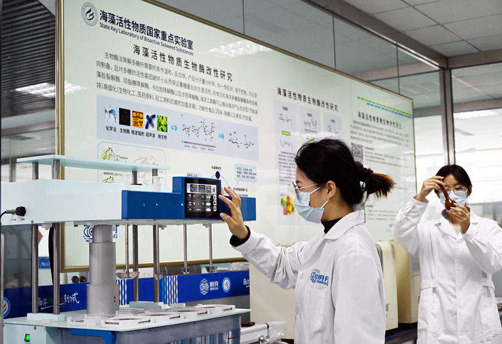 中国经济样本观察·企业样本篇｜一棵海藻的产业进阶之路