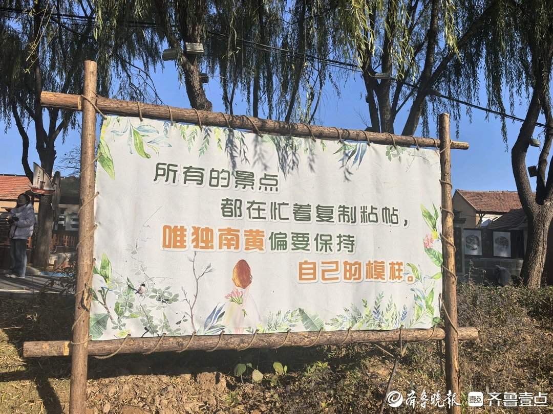 山东破题片区化:乡村“手拉手” 共富路“步步宽”