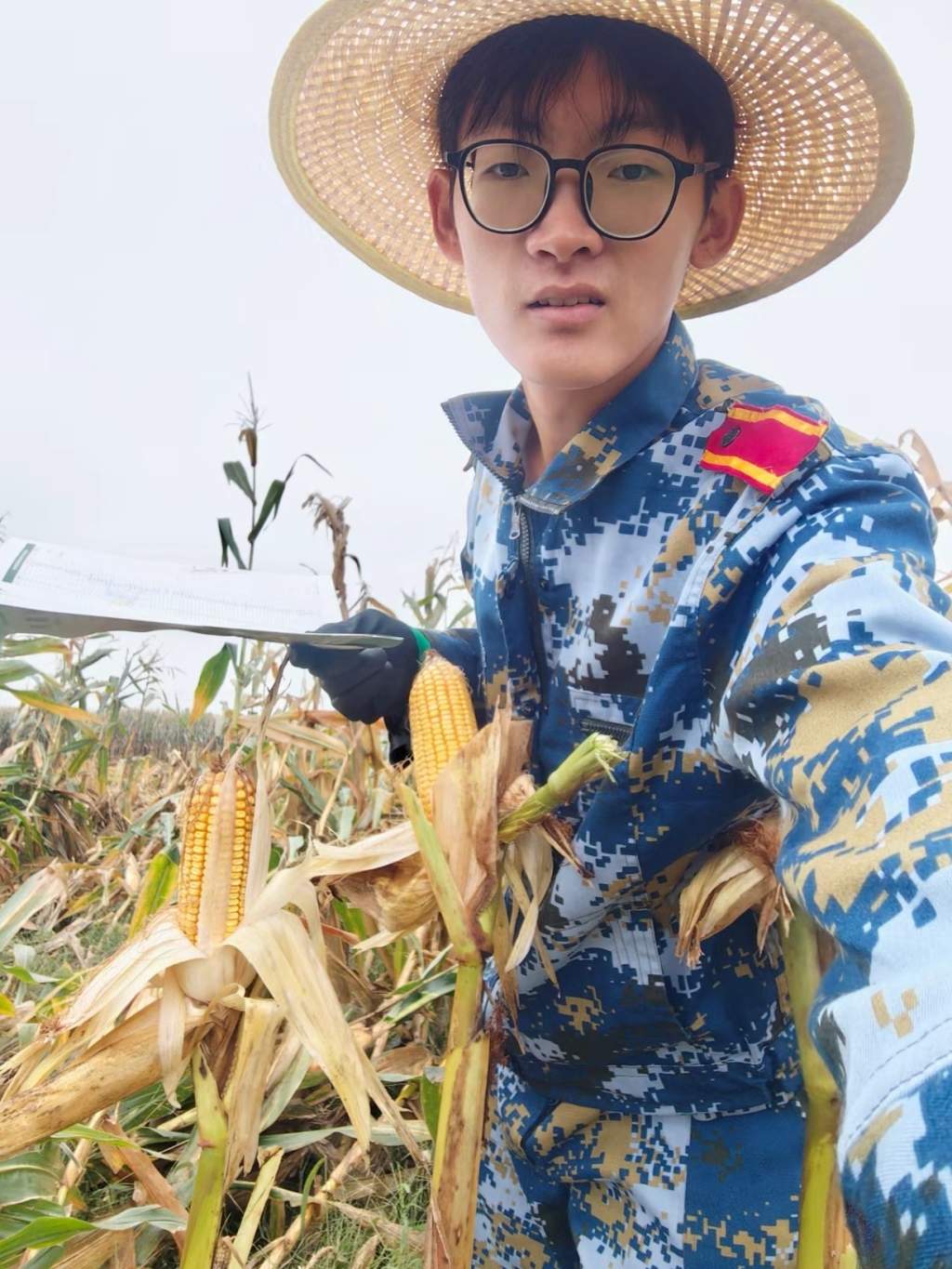 从田埂到热搜!青岛农大学生孟成国庆帮父母掰玉米,“多弯次腰,爸妈少受苦”