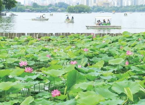 泉在济南过暑假 C位景区哪家强？