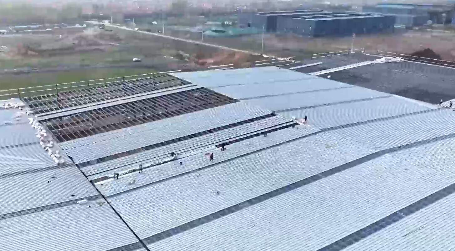 经济大省挑大梁｜直击山东建设图鉴：智造加速跑、循环筑绿梦