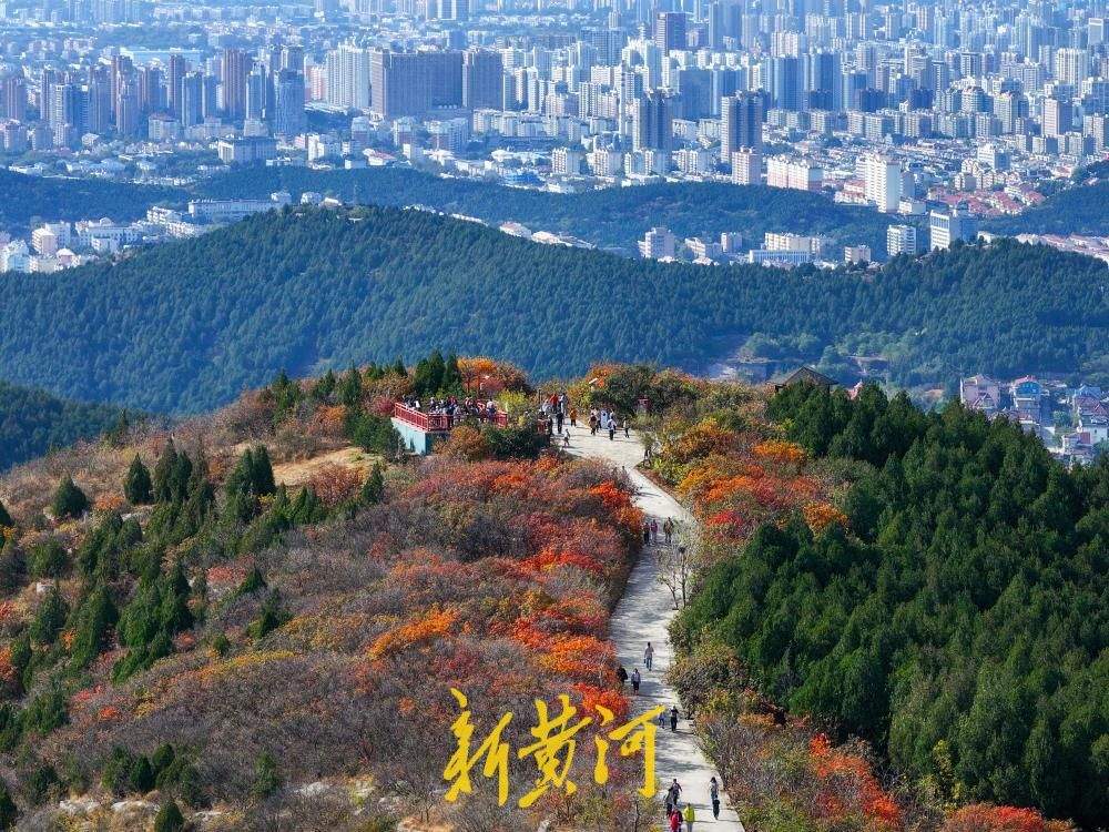 一年四季 泉在济南丨层峦焕彩！秋染蚰蜒山 登高赏彩林