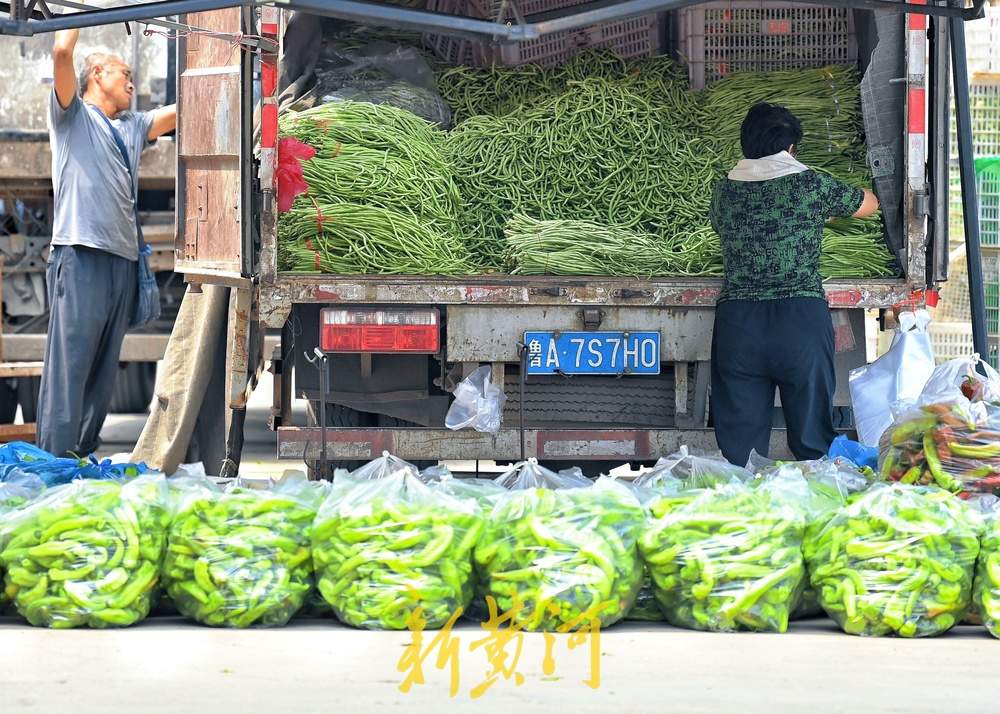 高温下农贸市场菜农交易忙，市民“菜篮子”有保障