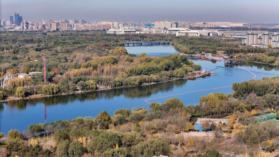 学习进行时丨从总书记的两会故事领悟正确政绩观