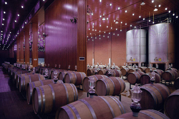 山海情深向未来