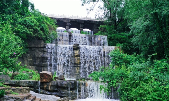 济南市12345市民服务热线“话题榜”：公园里的“自然疗愈”