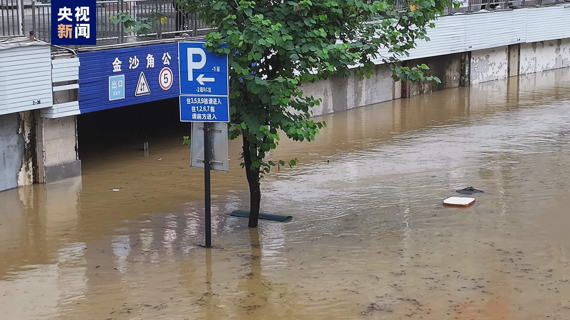 82.52米!柳江柳州市区河段今年首次超警