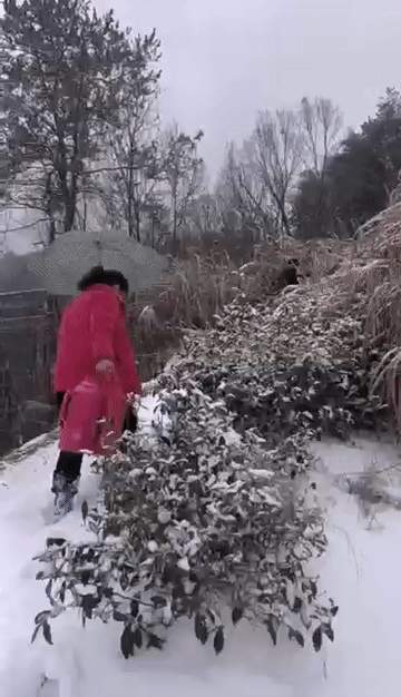 “一家9口，全部出动！”