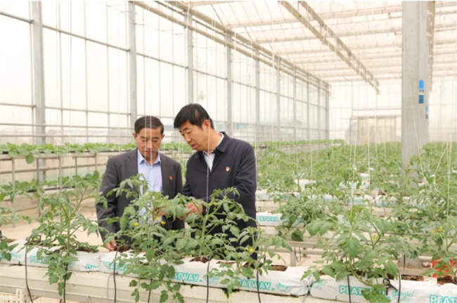 厚道山东人托举共治共享的基层治理新“枫”景