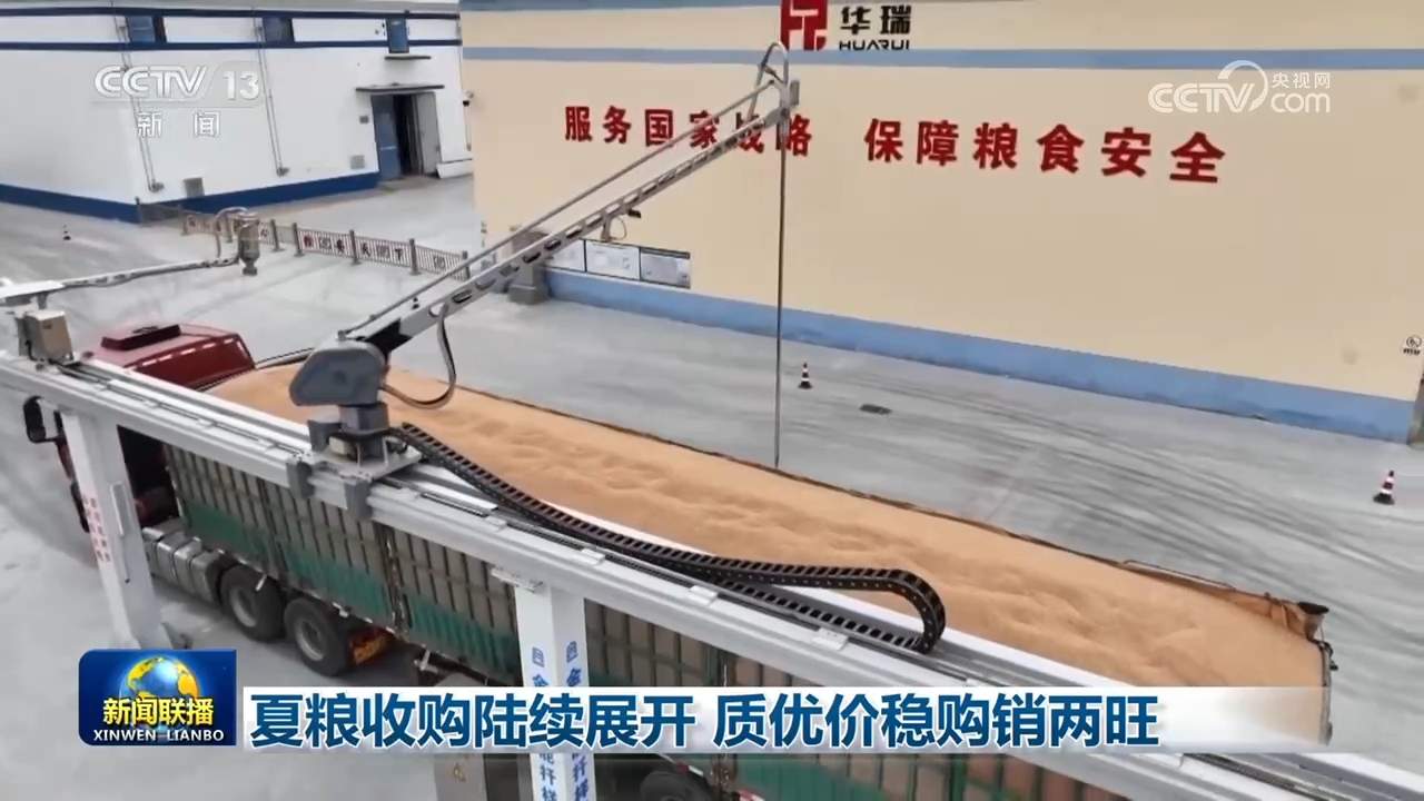 夏粮收购陆续展开 质优价稳购销两旺