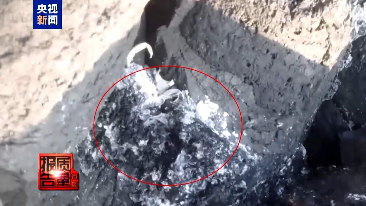 非法包船登岛成公开生意 揭露无人岛旅游乱象