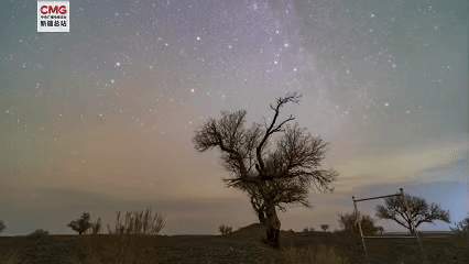 许愿成功率UP！克拉玛依寒夜秒变追“星”现场