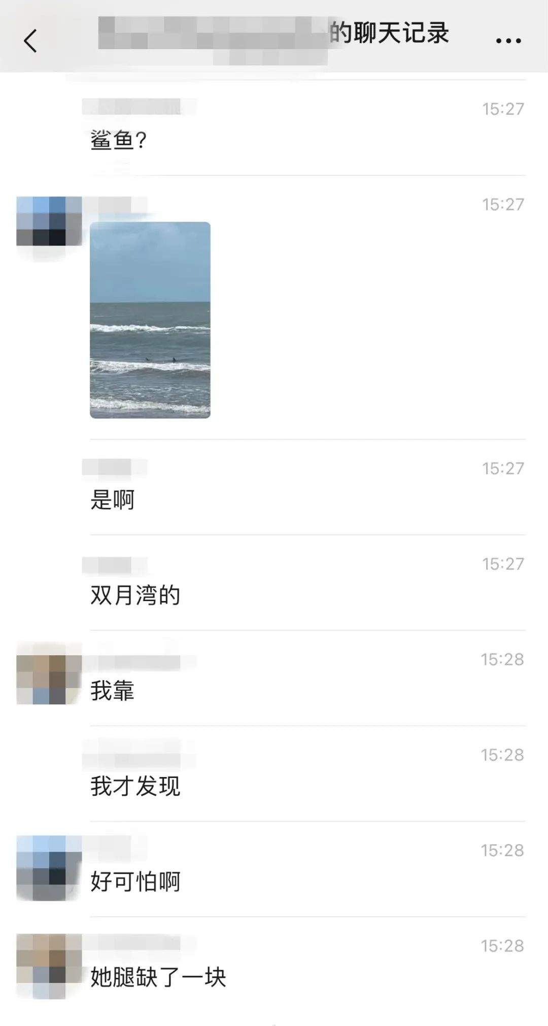 真相大白！惠州双月湾有鲨鱼咬人?假的 广东网友“打假”