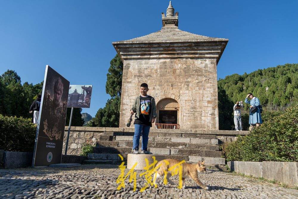 跟着悟空游济南！感受四门塔“猫猫寺”的魅力 