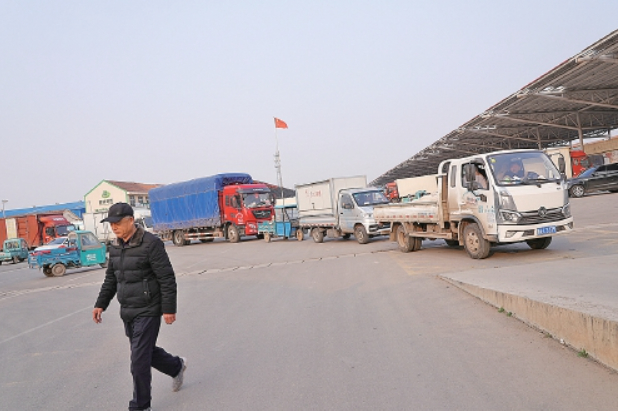 黄瓜晨市开市忙 出村进城销全国