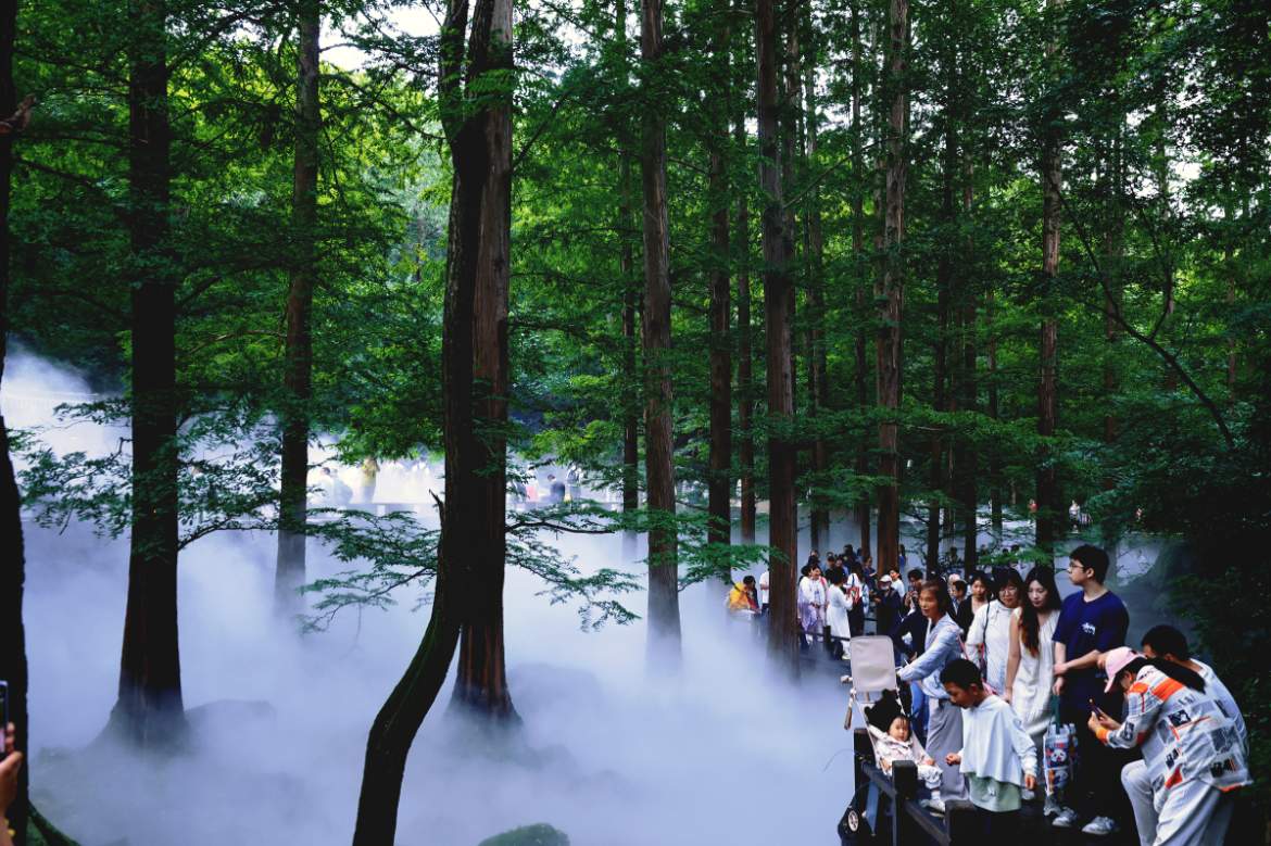 逛公园还能学知识！端午节次日北京市属公园单日接待游客超38万人次