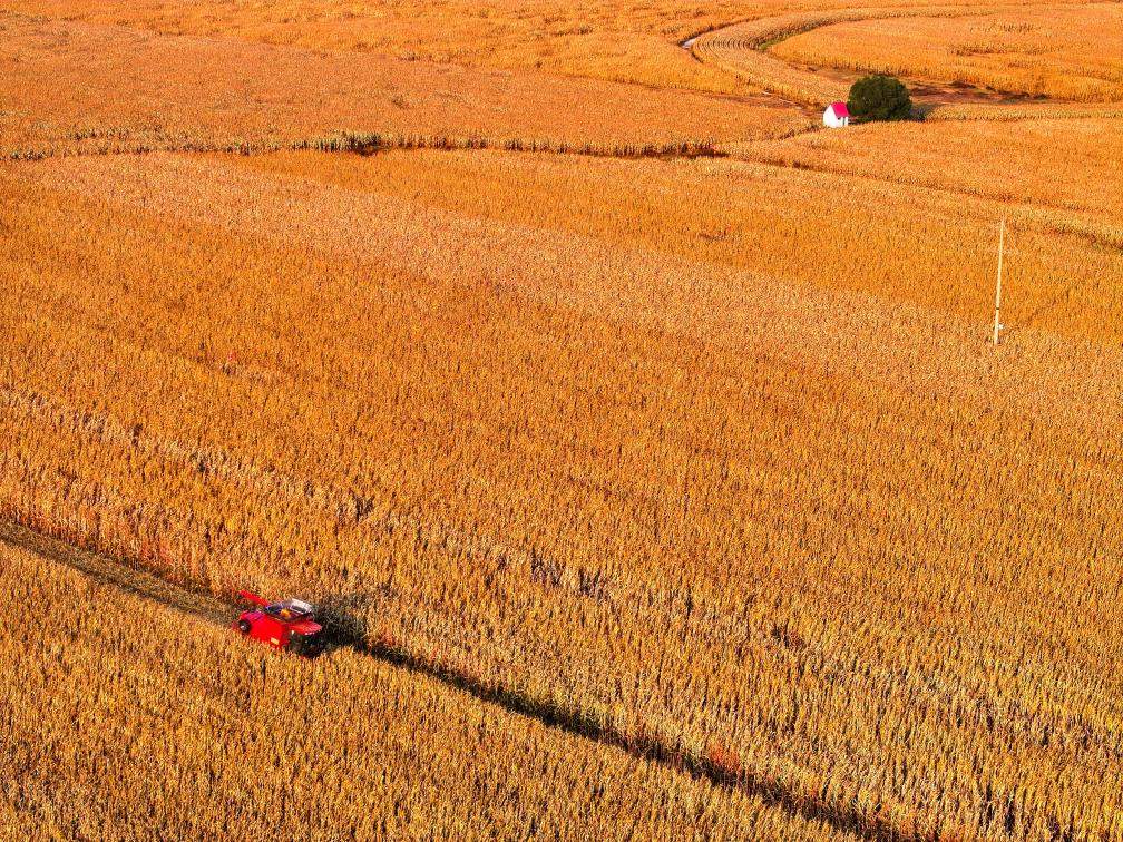 镜观中国丨影像回眸“十四五”——经济增长 稳健前行