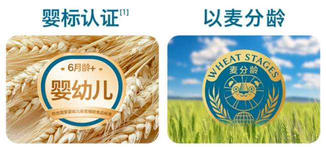 一根禾泱泱面条的“营养方程式”：解码婴幼儿辅食的精细化之路