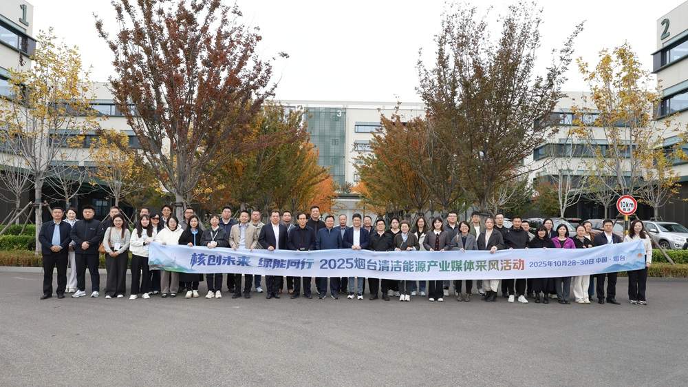 探秘“超级充电宝”：这家企业如何让清洁能源“风光”无限？