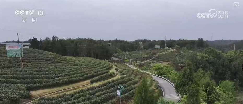 “国潮+”“露台+”“美食+”,准备好了!“五一”假期多样文旅新场景等你来