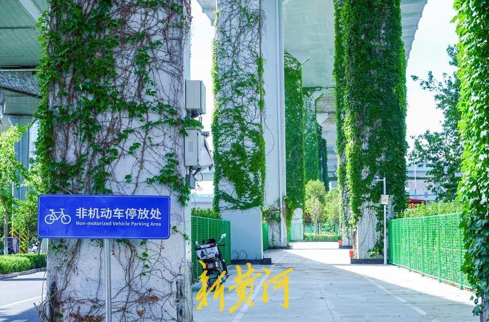 济南顺河高架桥下空间巧利用  非机动车停车场免费开放