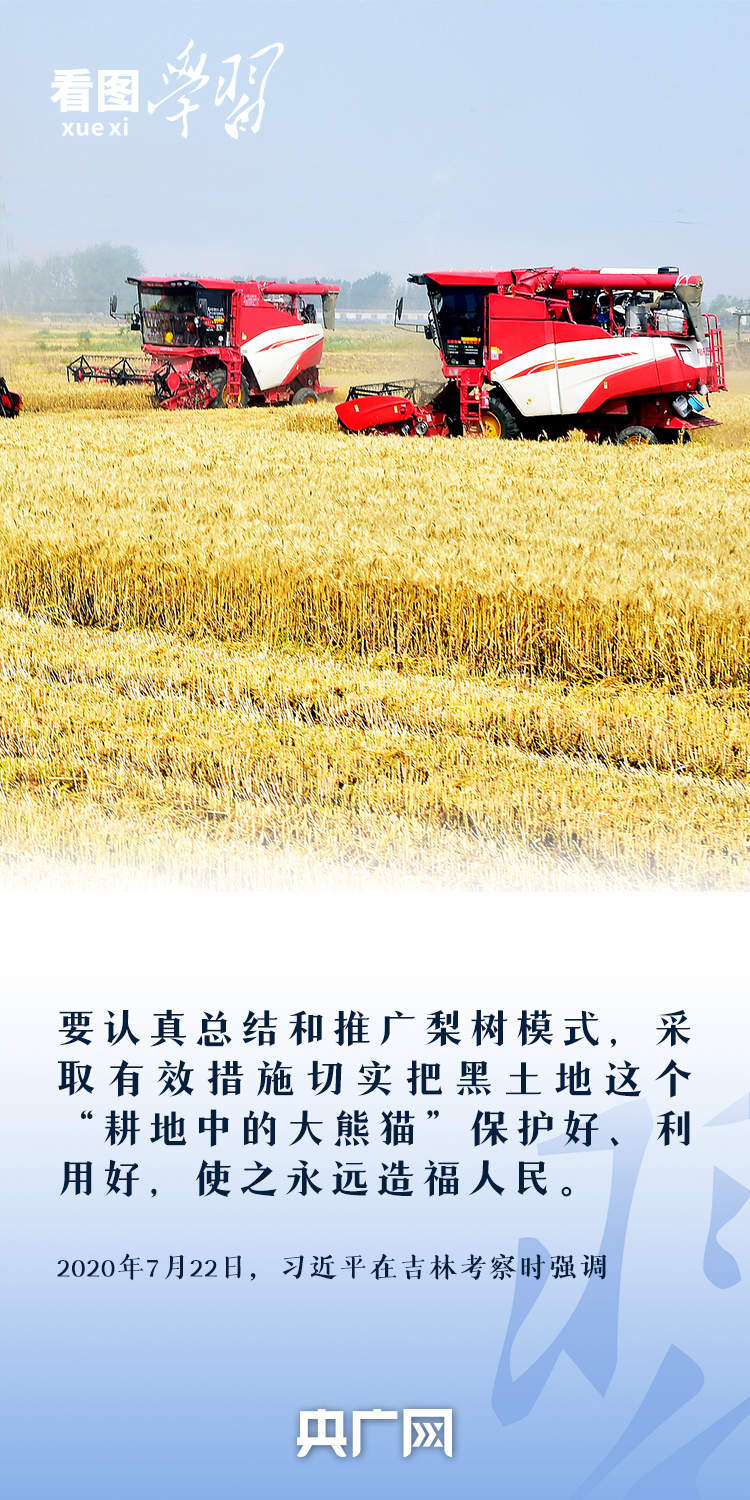 看图学习丨“守住耕地这个命根子” 总书记心系耕地保护
