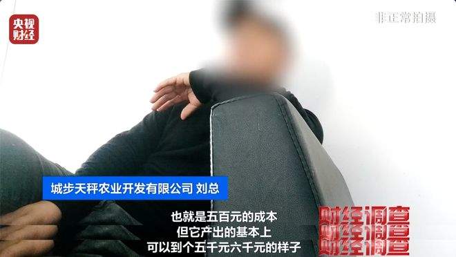 “杀人蜂”遭滥养 有人赚得盆满钵满 央视曝光